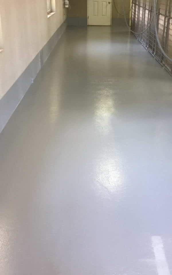 dog kennels floor coating advance industrial coatings