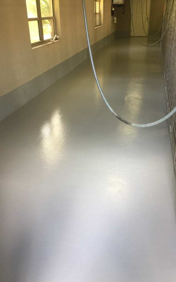 dog kennels floor coating advance industrial coatings
