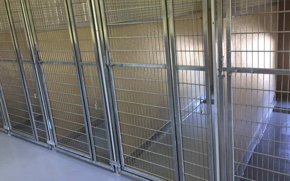 dog kennels floor coating advance industrial coatings