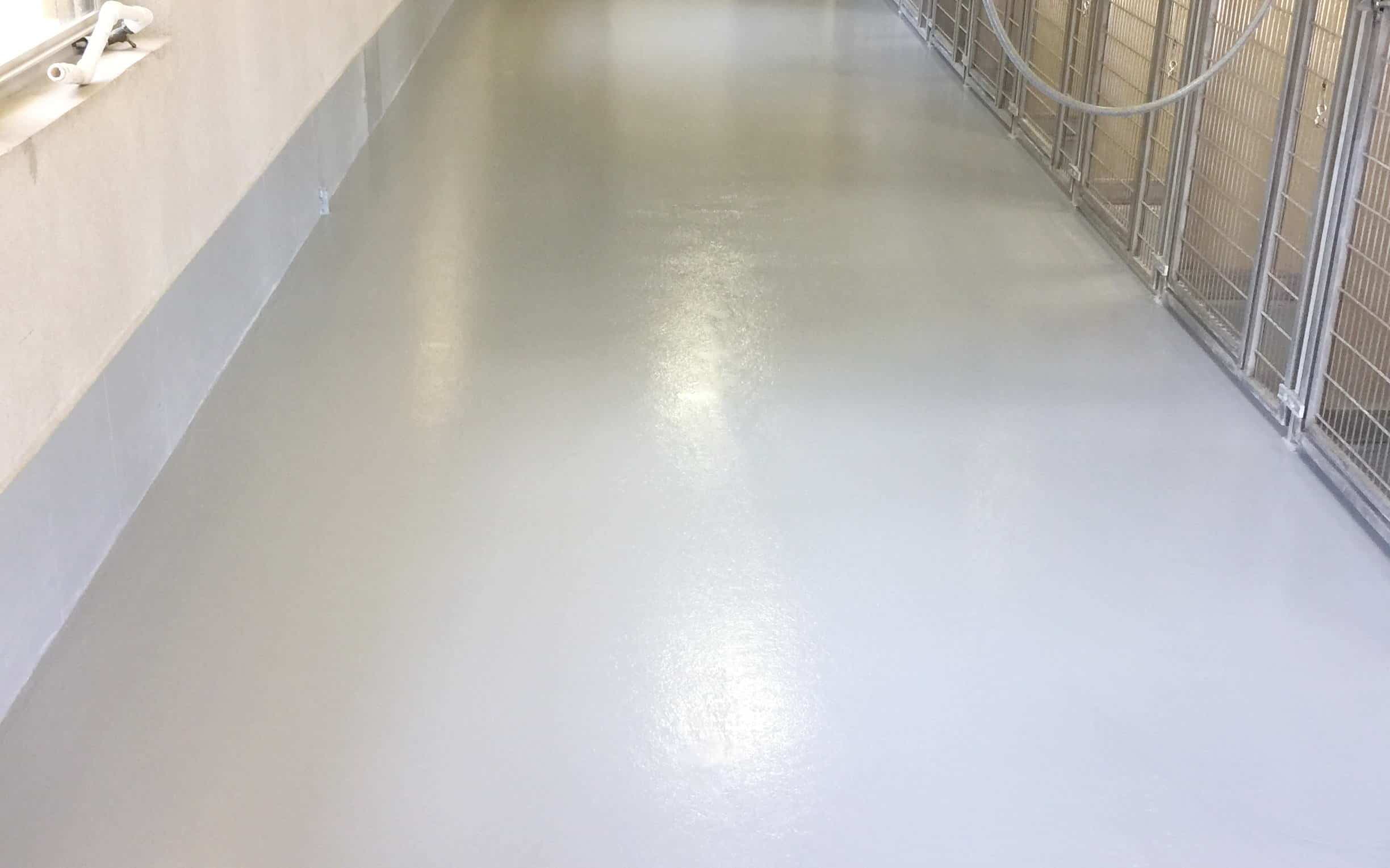 Dog Kennels Floor Coating