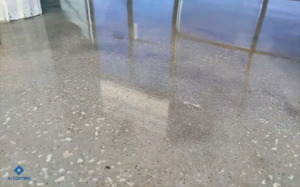 food processing plant concrete polishing 05