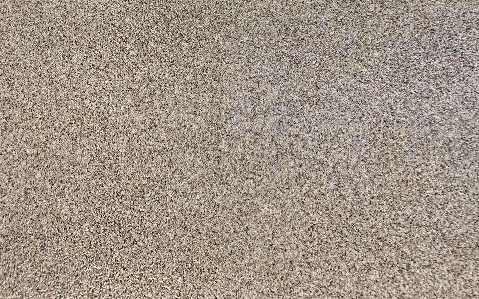 AI Coating Orlando Showroom 20